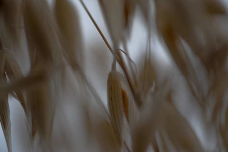 Image-normal
