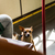 Image-square_50