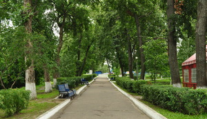 Image-preview_300x200