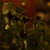 Image-square_50