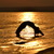 Image-square_50