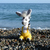 Image-square_50