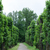 Image-square_50