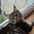 Image-square_50
