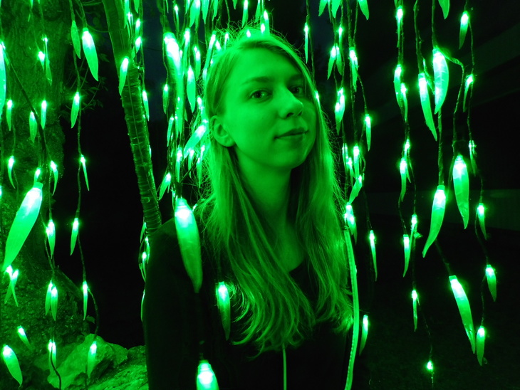 Image-normal
