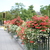 Image-square_50