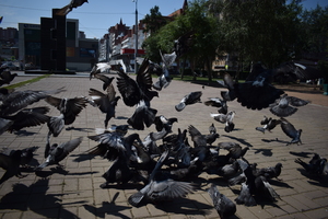 Image-preview_300x200