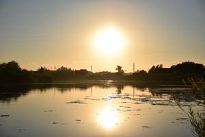 Image-preview_300x200