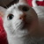 Image-square_50
