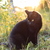 Image-square_50