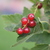 Image-square_50