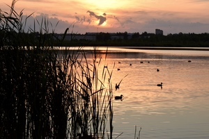 Image-preview_300x200
