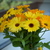 Image-square_50
