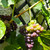 Image-square_50
