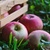 Image-square_50