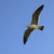Image-square_50