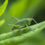 Image-square_50