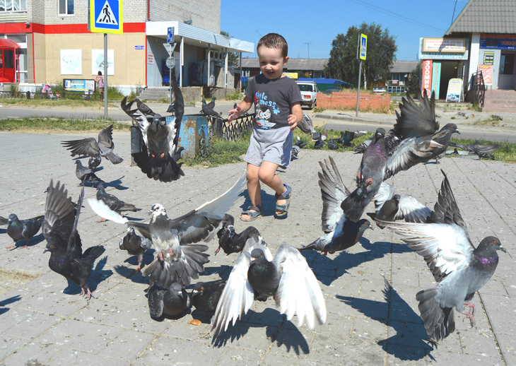 Image-normal