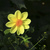 Image-square_50