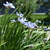 Image-square_50