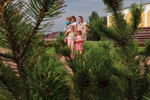 Image-preview_300x200