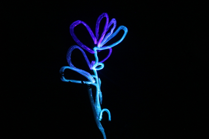 Image-normal