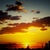 Image-square_50