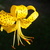 Image-square_50