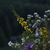 Image-square_50