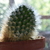 Image-square_50