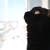 Image-square_50