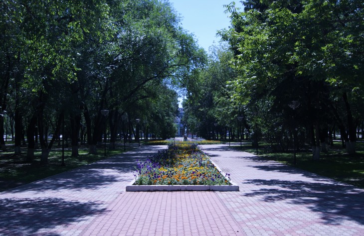 Image-normal