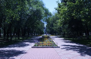Image-preview_300x200