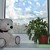 Image-square_50