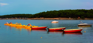 Image-preview_300x200