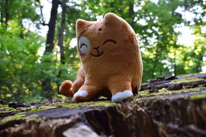 Image-preview_300x200