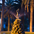 Image-square_50