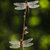 Image-square_50