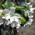 Image-square_50