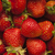 Image-square_50