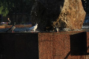 Image-preview_300x200