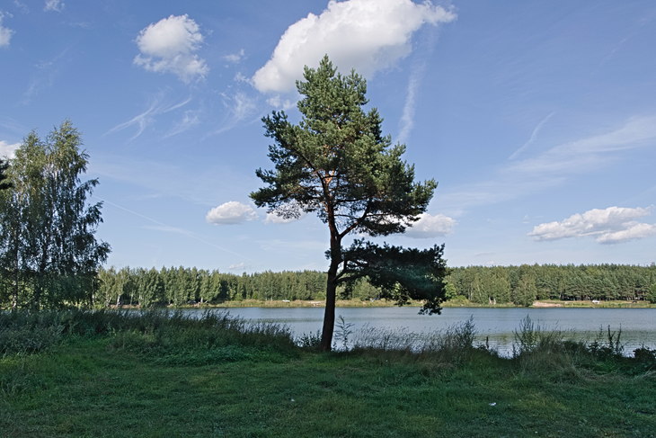 Image-normal