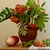 Image-square_50