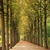 Image-square_50