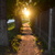 Image-square_50