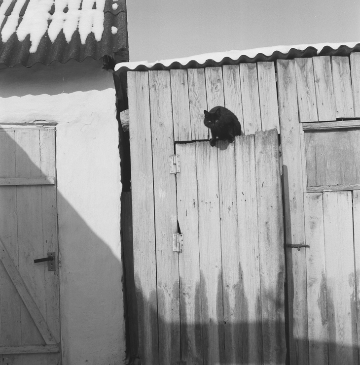 Image-normal