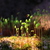 Image-square_50