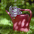 Image-square_50