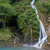 Image-square_50