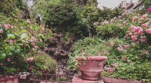 Image-preview_300x200
